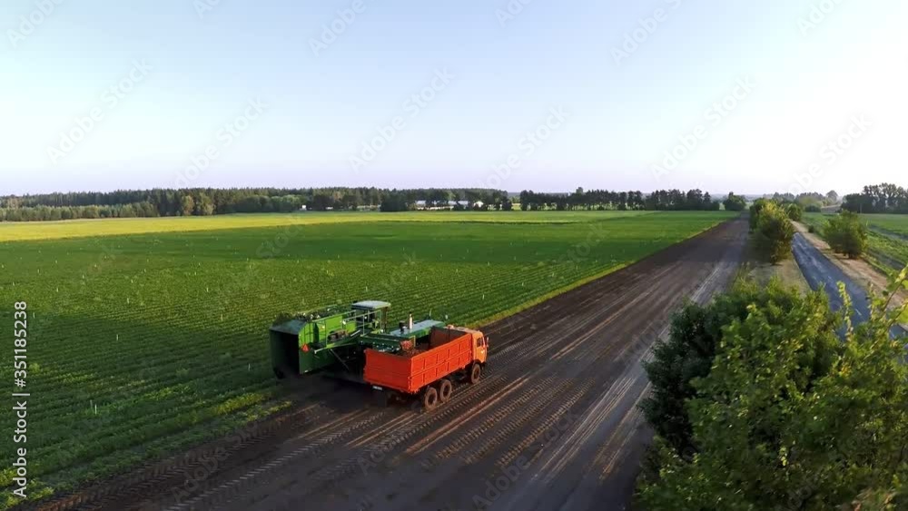 collecting carrots in the field drone shooting at dawn collecting carrots in the field drone shooting at dawn