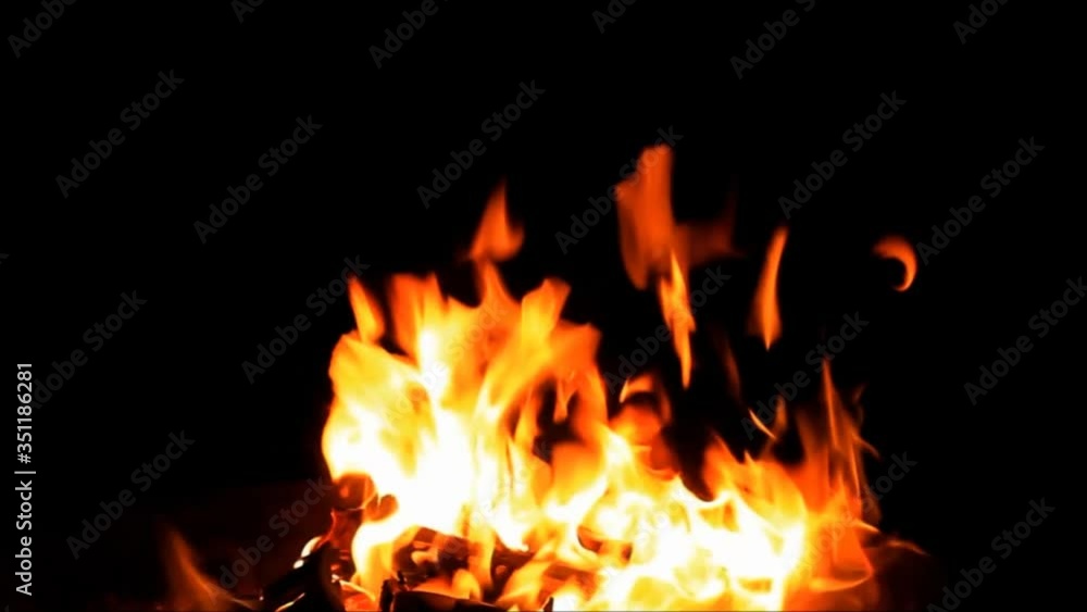 fire on black, campfire background, burning wood fire
fire on black, campfire background, burning wood fire