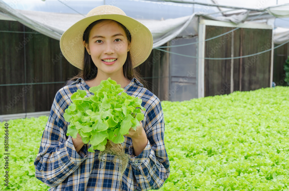 asian young friendly woman farmer smiling and holding fresh green oak lettuce salad, organic hydroponic fresh green vegetables produce in greenhouse garden nursery farm, agriculture business concept