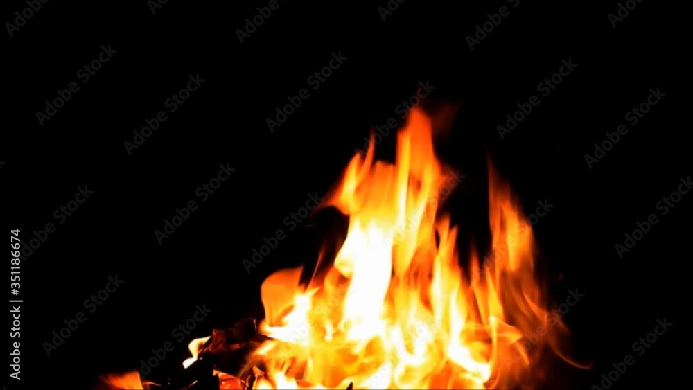 fire on black, campfire background, burning wood fire
fire on black, campfire background, burning wood fire