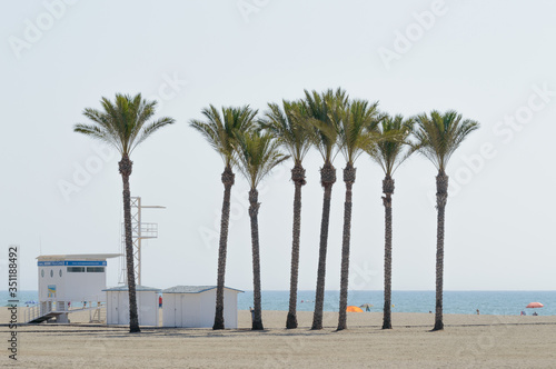 Oasis of a large group of palm trees on the beach of Roquetas de Mar. August 14, 2019. Roquetas de Mar Almeria. Spain. Travel Tourism Holidays photo