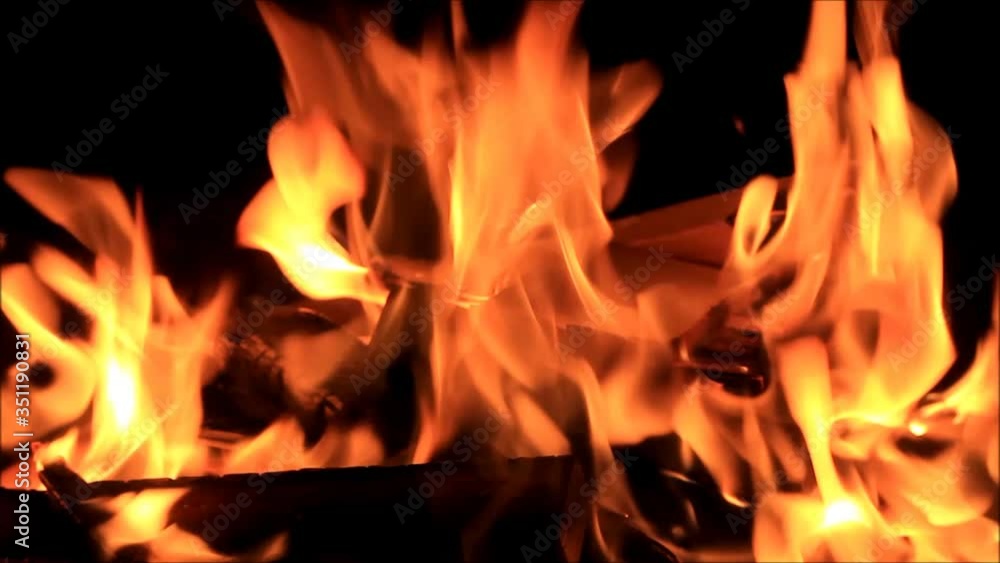 fire on black, campfire background, burning wood fire
fire on black, campfire background, burning wood fire