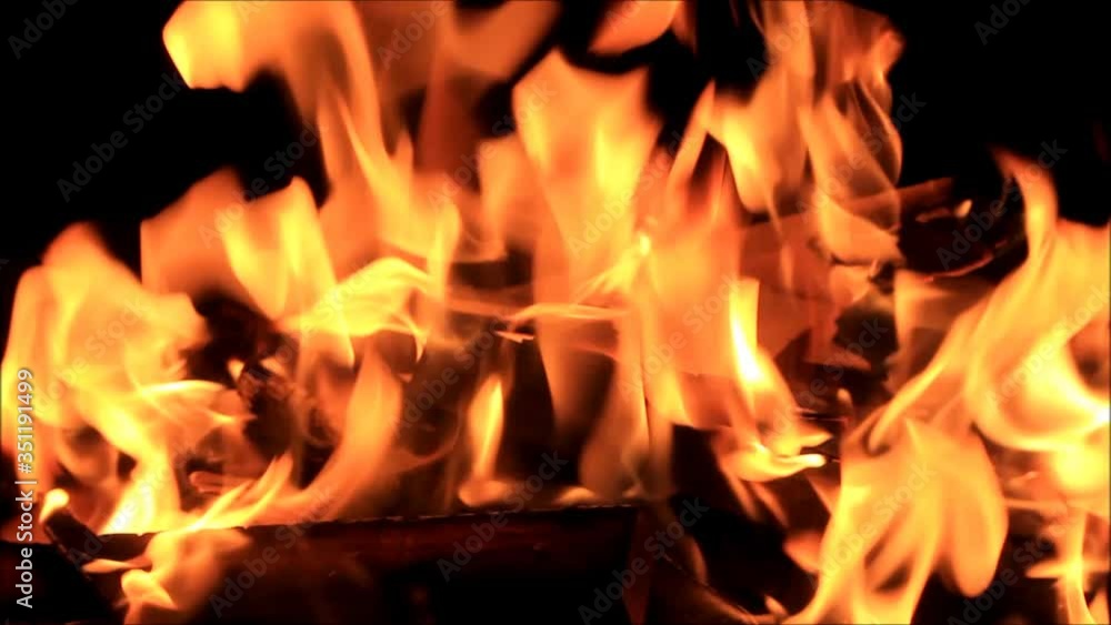 fire on black, campfire background, burning wood fire
fire on black, campfire background, burning wood fire