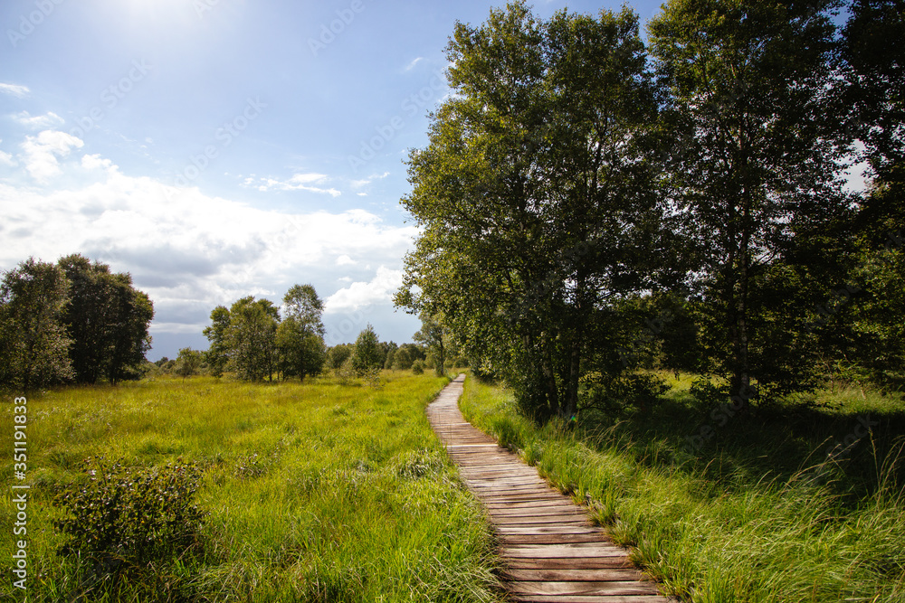 Weg auf Holzbohlen Weg auf Holzbohlen