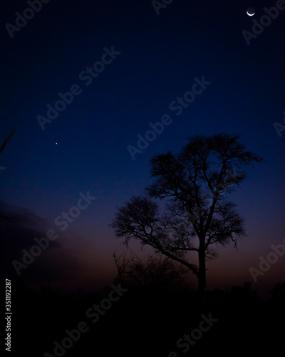 Nigh sky with moon and star