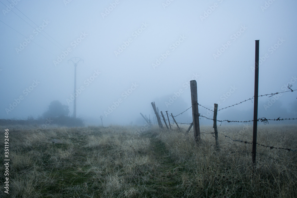 mysterious field with fog