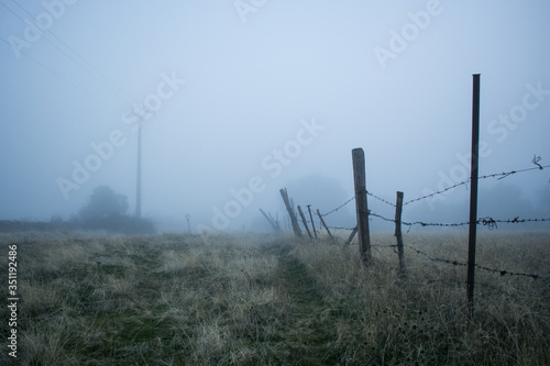 mysterious field with fog