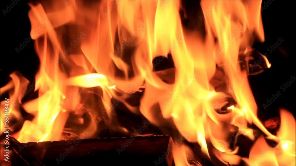 fire on black, campfire background, burning wood fire
fire on black, campfire background, burning wood fire
