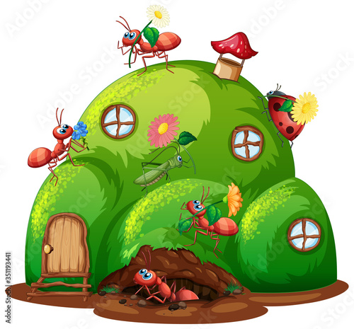 Hill house with many insects on the house