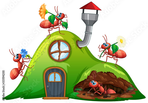 Scene with many ants on hill house