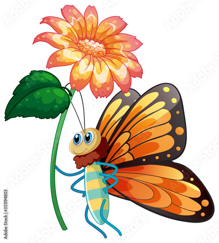 Beautiful butterfly holding flower on white background