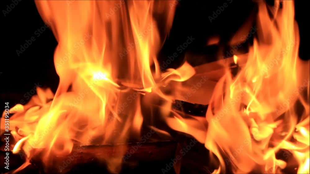 fire on black, campfire background, burning wood fire
fire on black, campfire background, burning wood fire