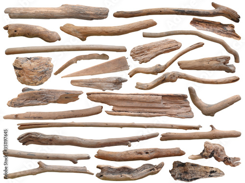 Collection de bois flotté