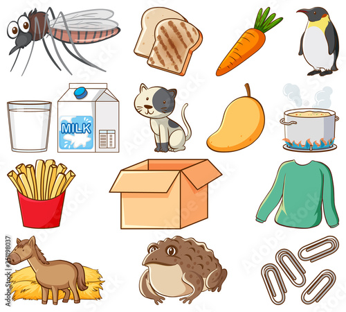 Large set of different food and other items on white background