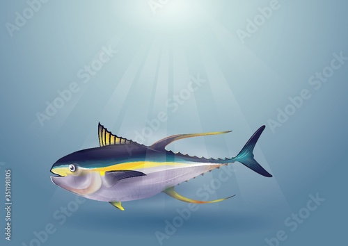 Fish in an ocean