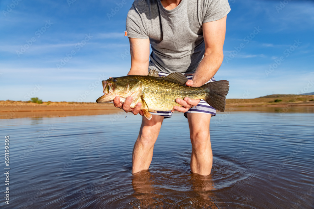 Big Bass Large mouth - Fishing on lake Big Bass Large mouth - Fishing on lake