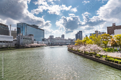 大阪天満 大川沿いの桜
