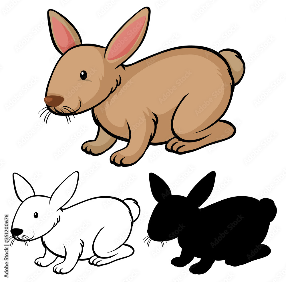 Fototapeta premium Set of rabbit cartoon