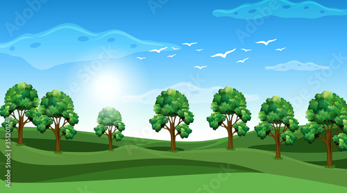 Scene with many trees in the field