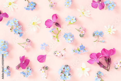 Pattern made of fresh flowers, tender pink composition