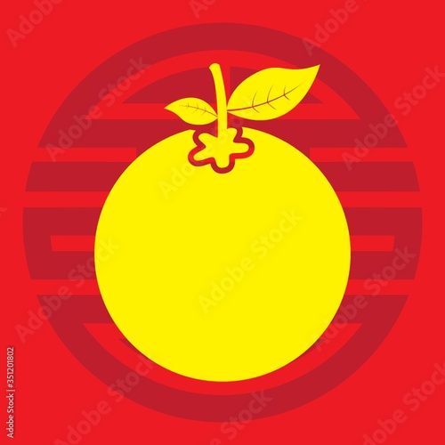 A mandarin orange illustration.