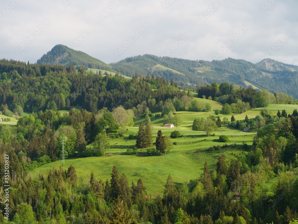Naklejka premium tranquil landscape with hills covered by forest and mountains 