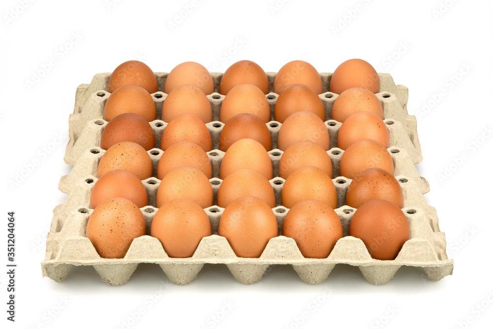 Eggs are freshly placed in a panel isolated on a white background with clipping path Eggs are freshly placed in a panel isolated on a white background with clipping path