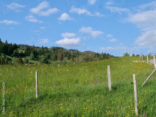 tranquil landscape in the Bavarian Alps in sunshine against blue sky