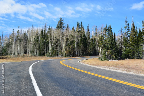 Straße im Yellowstone NP