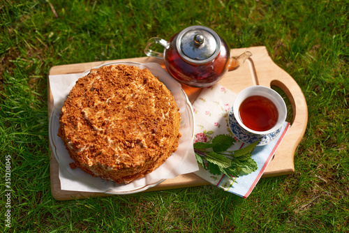 Picnic with honey cake and tea in nature, outdoor in the garden, on the grass