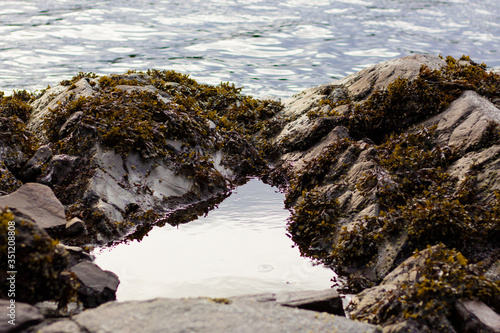 tidal pool
