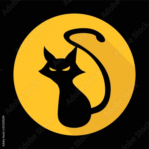 black cat