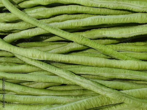 fresh green beans.Yardlong beans background.Vigna unguiculata subsp. sesquipedalis