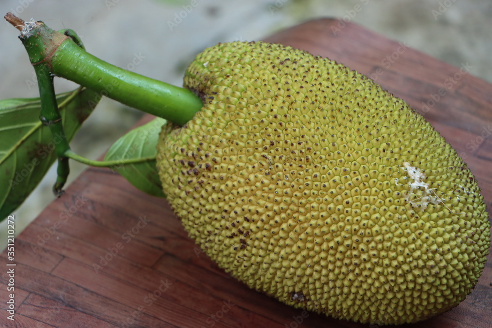 Jackfruit or jack fruit, bread fruit, organic food Jackfruit or jack fruit, bread fruit, organic food