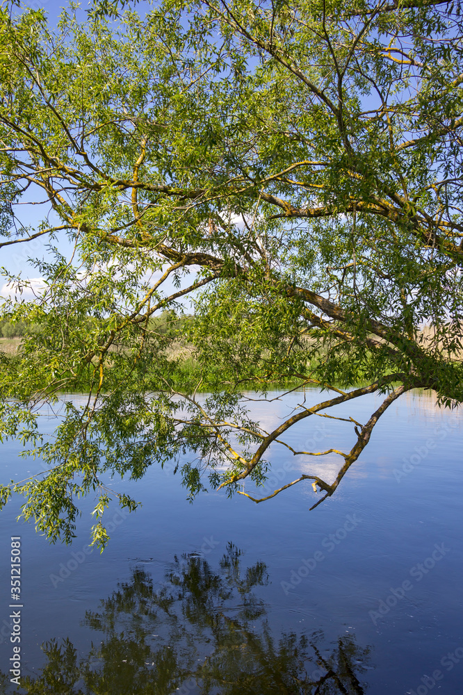 Spring in Havelland, Brandenburg. View of the river Havel and an old pasture.