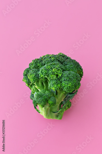 Fresh green broccoli on pink background