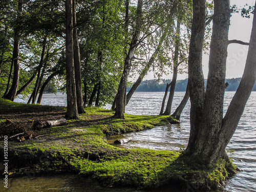 Green trees on a rugged lakeshore, Masuria, Poland