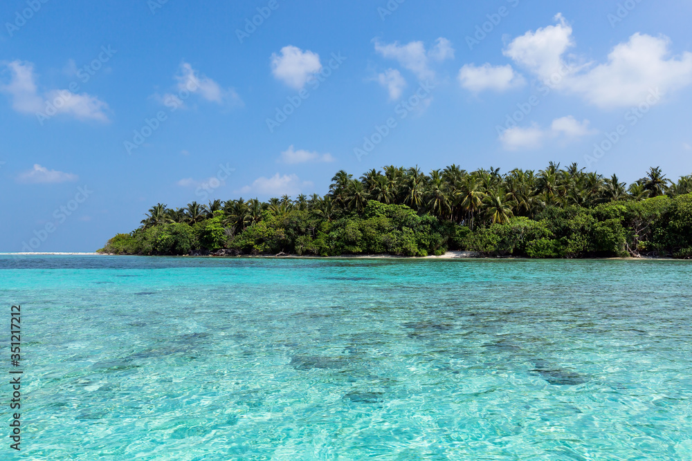 Sea with coconut palms island