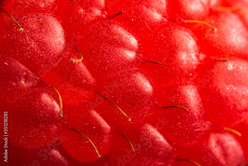 One fresh raspberry closeup macro. Detailed shoot