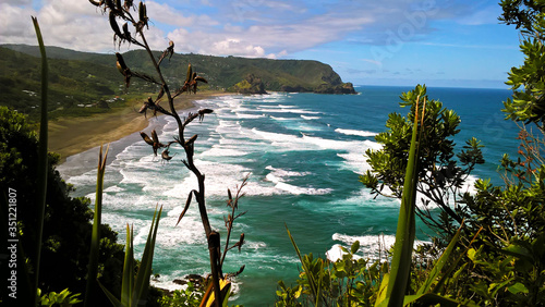 The Beach in New Zealand
