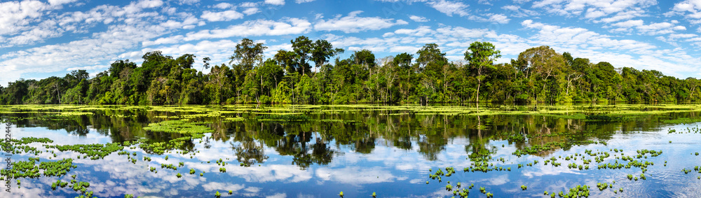 Fototapeta premium Panoramic view on the Marañon River in the Pacaya Samiria Reserve in Peru, near Iquitos. The river of mirrors. Selective focus. Rainforest landscape.