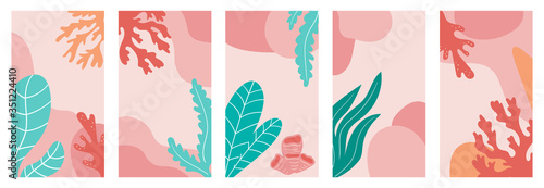 Set of abstract coral and seaweeds backgrounds for social media, promotional content. Trendy pastel colors. Vector underwater scene.