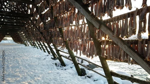 Lofoten – Winter im Hohen Norden - Norwegen