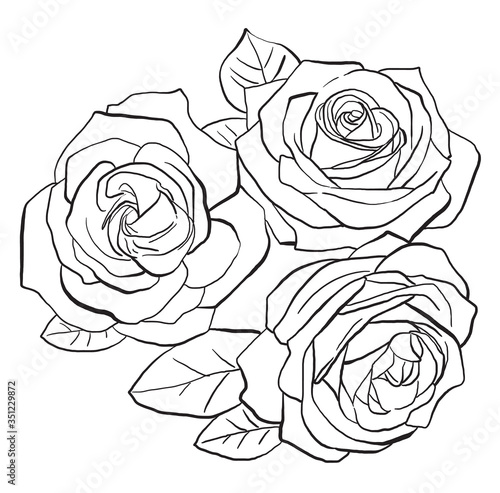 Wallpaper Mural Roses and leaves, hand drawn vector illustrations Torontodigital.ca