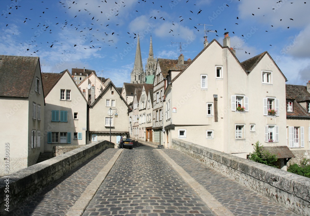 Chartres Old Town, France. Black birds over city.