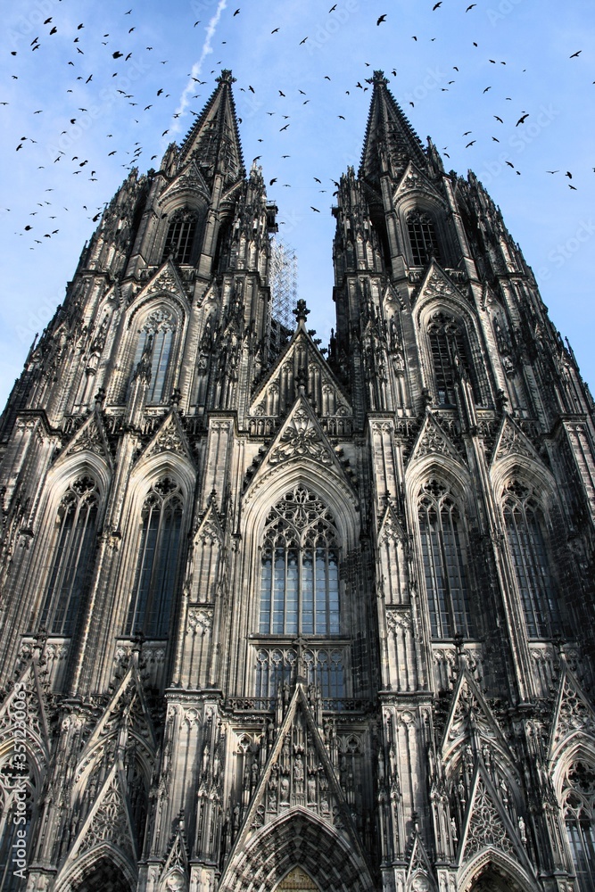 Cologne cathedral, Germany. Black birds over city.