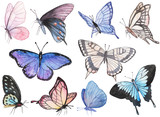 Seamless pattern with watercolor hand drawn butterflies