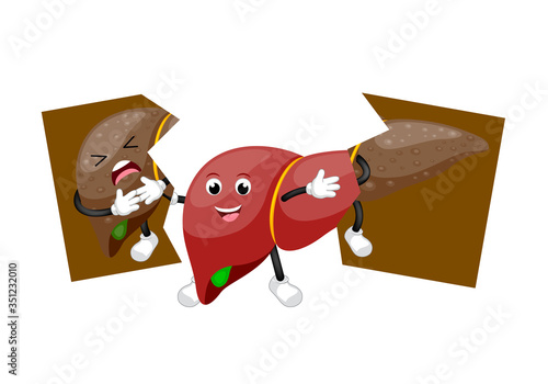 Healthy liver character holding tear of unhealthy. Health care concept, before and after. Illustration isolated on white background.