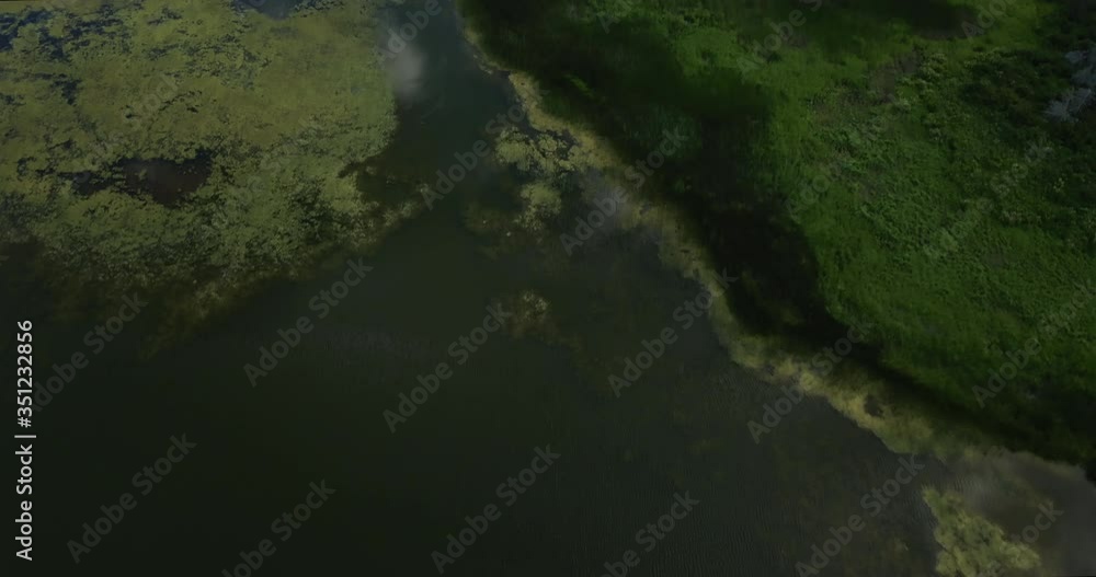 Tilting up aerial shot reveals water ways covered in algae Tilting up aerial shot reveals water ways covered in algae