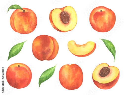 Watercolor Peaches Illustration Set